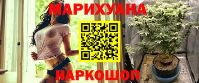 крисы Кунгур