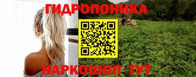 крисы Кунгур