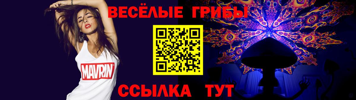 Галлюциногенные грибы прущие грибы  Псилоцибиновые грибы Psilocybe  Вход с VPN  Коломна 